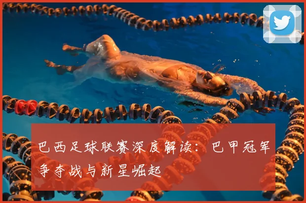 巴西足球联赛深度解读：巴甲冠军争夺战与新星崛起