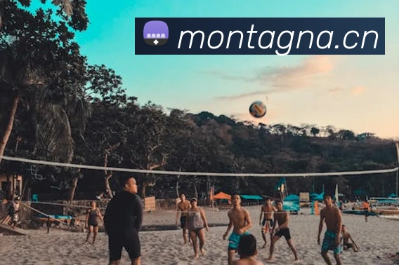 爱游戏ayx首页发展历程